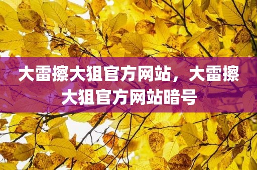大雷擦大狙官方网站，大雷擦大狙官方网站暗号