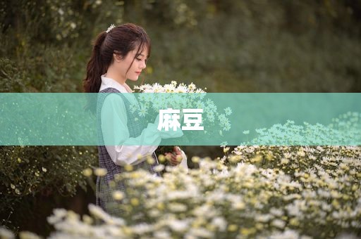 麻豆