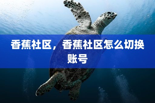 香蕉社区，香蕉社区怎么切换账号