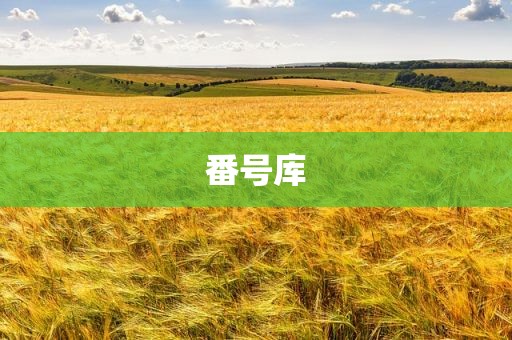 番号库