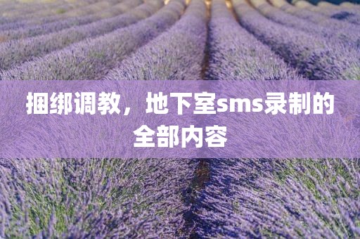 捆绑调教，地下室sms录制的全部内容