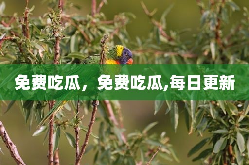 免费吃瓜，免费吃瓜,每日更新