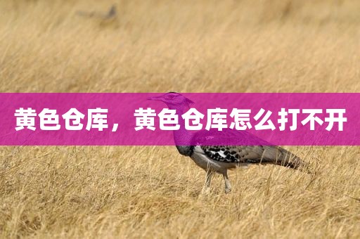 黄色仓库，黄色仓库怎么打不开
