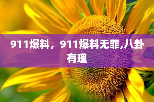 911爆料，911爆料无罪,八卦有理