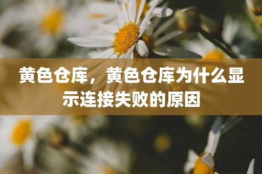 黄色仓库，黄色仓库为什么显示连接失败的原因