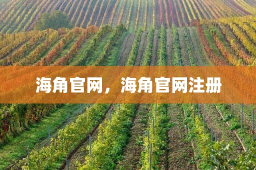 海角官网，海角官网注册
