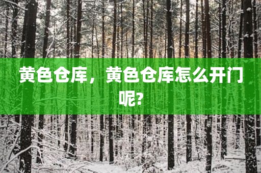 黄色仓库，黄色仓库怎么开门呢?