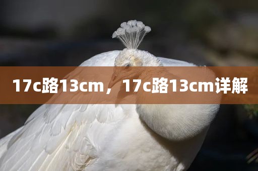 17c路13cm，17c路13cm详解