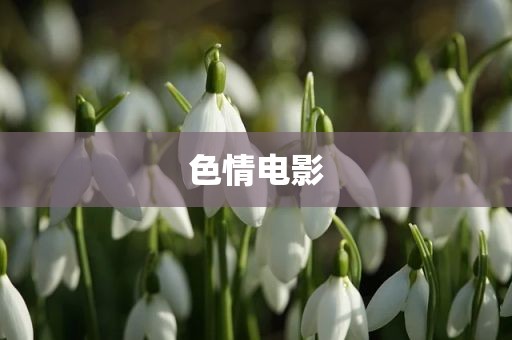 色情电影