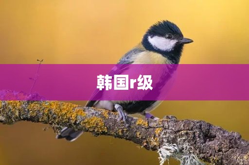 韩国r级