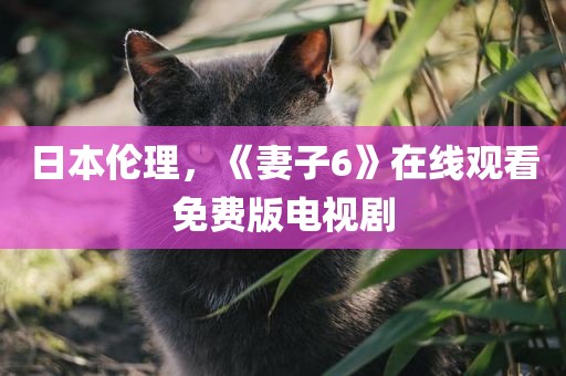 日本伦理，《妻子6》在线观看免费版电视剧