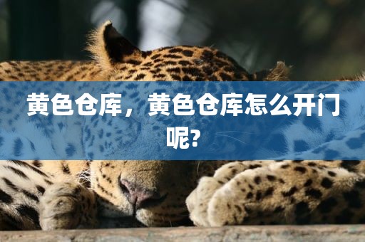 黄色仓库，黄色仓库怎么开门呢?