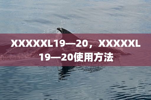 XXXXXL19—20，XXXXXL19—20使用方法