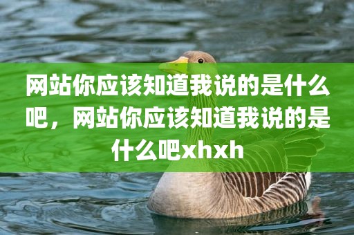 网站你应该知道我说的是什么吧，网站你应该知道我说的是什么吧xhxh