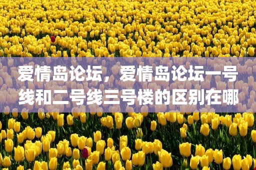 爱情岛论坛，爱情岛论坛一号线和二号线三号楼的区别在哪