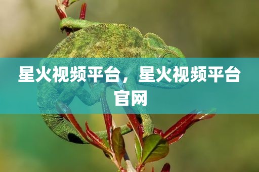 星火视频平台，星火视频平台官网
