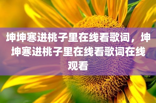 坤坤寒进桃子里在线看歌词，坤坤寒进桃子里在线看歌词在线观看