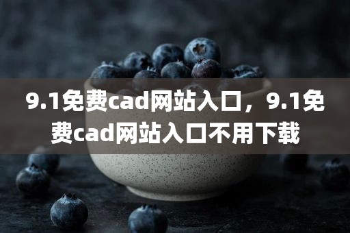 9.1免费cad网站入口，9.1免费cad网站入口不用下载