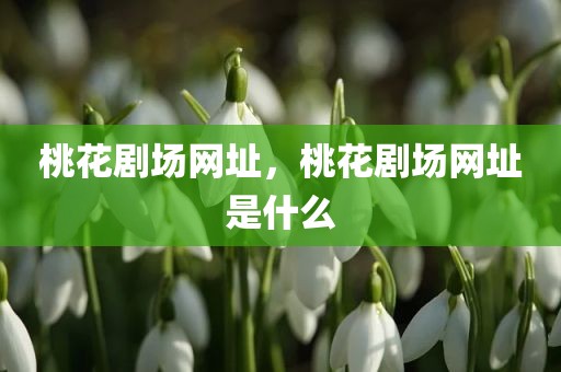 桃花剧场网址，桃花剧场网址是什么