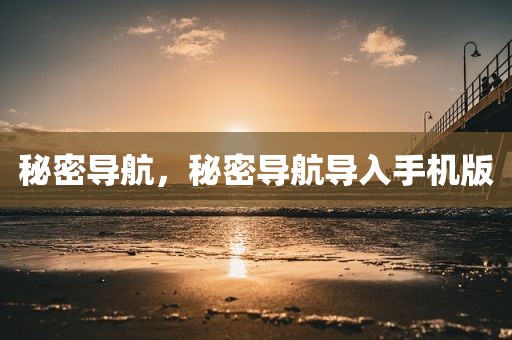 秘密导航，秘密导航导入手机版