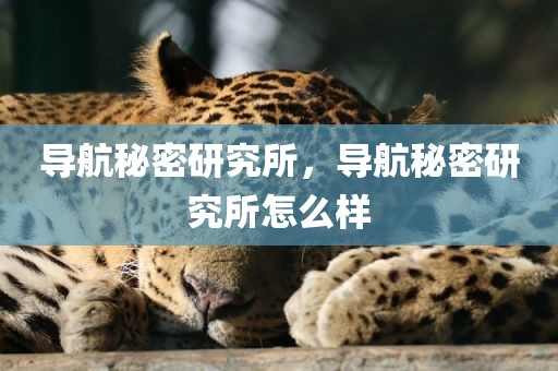 导航秘密研究所，导航秘密研究所怎么样