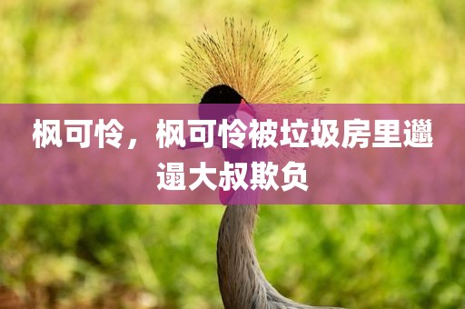 枫可怜，枫可怜被垃圾房里邋遢大叔欺负