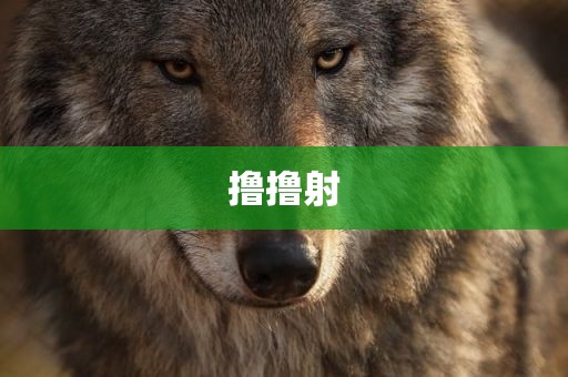 撸撸射
