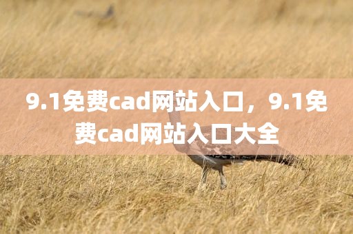 9.1免费cad网站入口，9.1免费cad网站入口大全