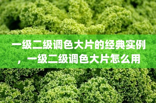 一级二级调色大片的经典实例，一级二级调色大片怎么用