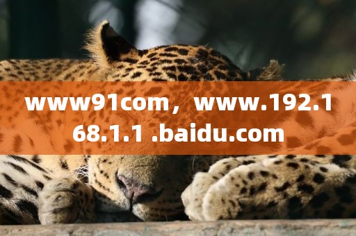 www91com，www.192.168.1.1 .baidu.com