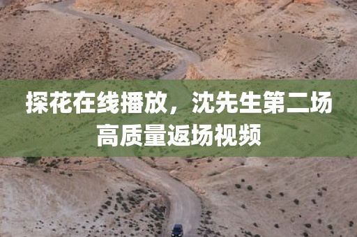 探花在线播放，沈先生第二场高质量返场视频