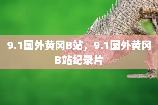 9.1国外黄冈B站，9.1国外黄冈B站纪录片