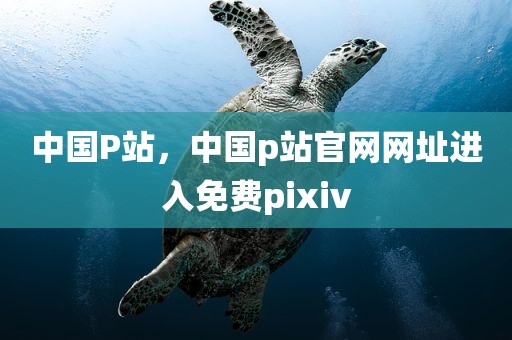 中国P站，中国p站官网网址进入免费pixiv