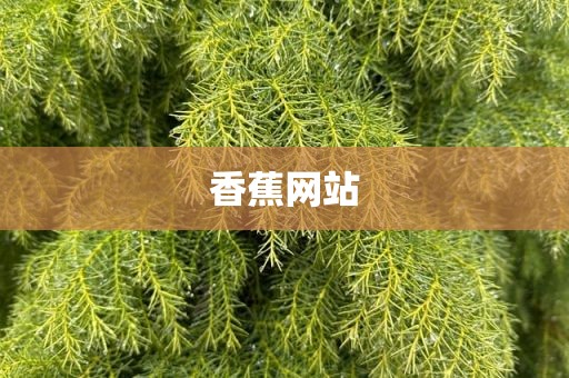 香蕉网站