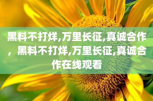 黑料不打烊,万里长征,真诚合作，黑料不打烊,万里长征,真诚合作在线观看