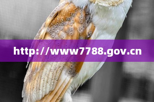 http://www7788.gov.cn
