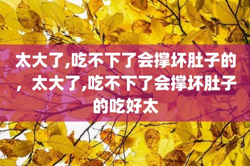 太大了,吃不下了会撑坏肚子的，太大了,吃不下了会撑坏肚子的吃好太
