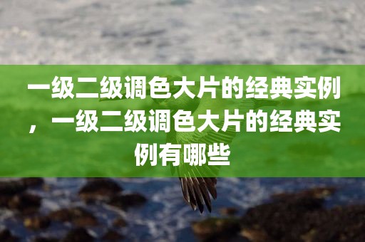 一级二级调色大片的经典实例，一级二级调色大片的经典实例有哪些