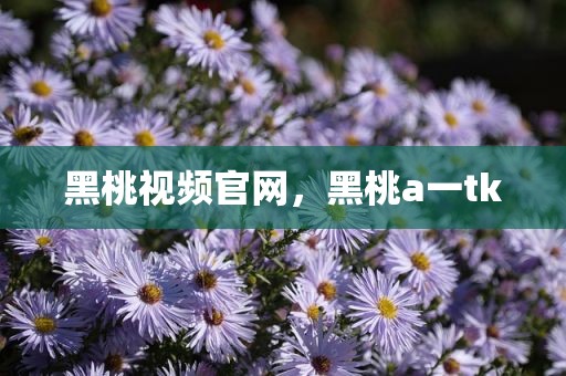 黑桃视频官网，黑桃a一tk