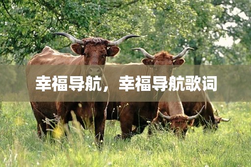 幸福导航，幸福导航歌词