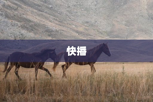 快播