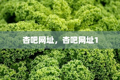 杏吧网址，杏吧网址1