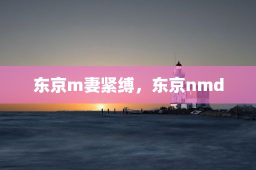 东京m妻紧缚，东京nmd