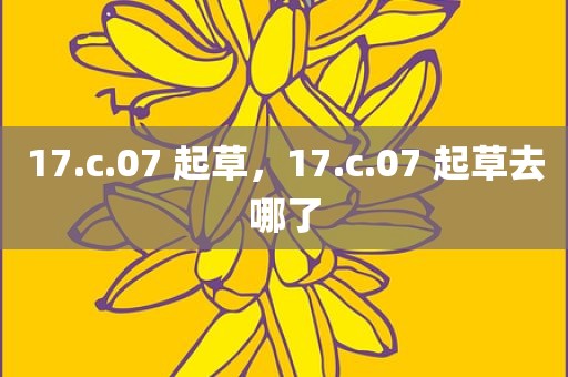 17.c.07 起草，17.c.07 起草去哪了