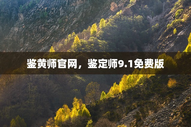 鉴黄师官网，鉴定师9.1免费版