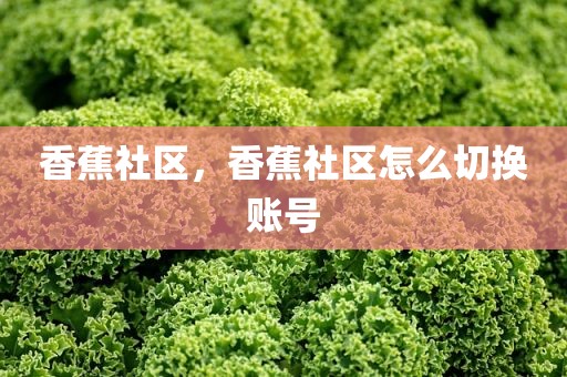 香蕉社区，香蕉社区怎么切换账号