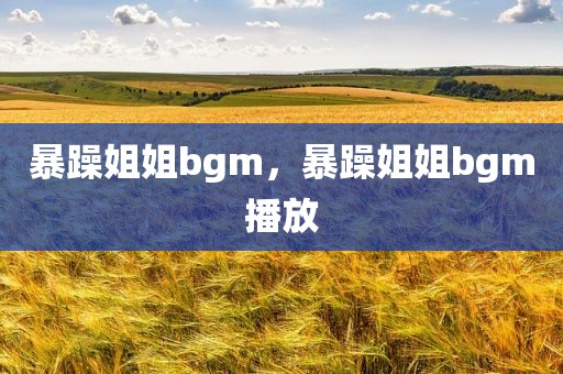暴躁姐姐bgm，暴躁姐姐bgm播放