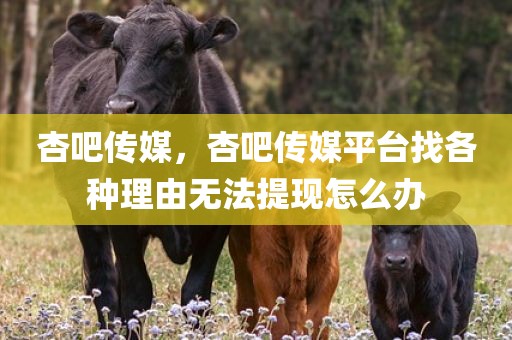 杏吧传媒，杏吧传媒平台找各种理由无法提现怎么办