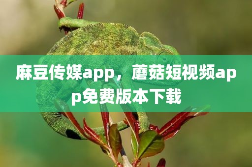 麻豆传媒app，蘑菇短视频app免费版本下载