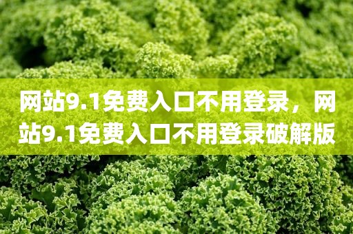 网站9.1免费入口不用登录，网站9.1免费入口不用登录破解版